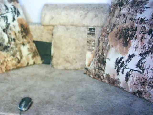 Veravee webcam