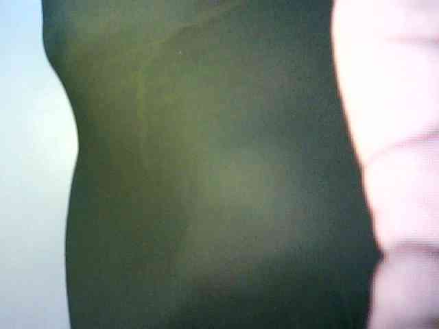 Veravee webcam
