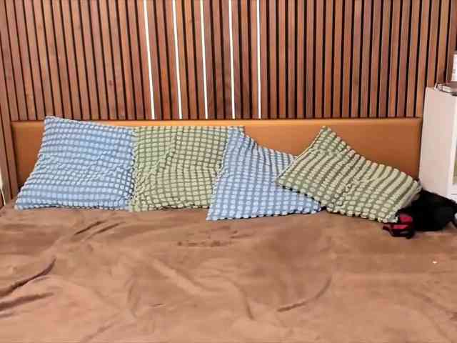 IninityKitty IninityKitty