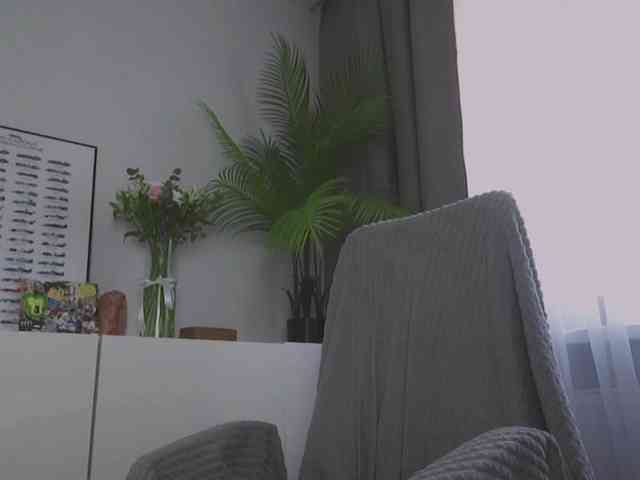 CallYes webcam