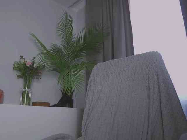 CallYes webcam