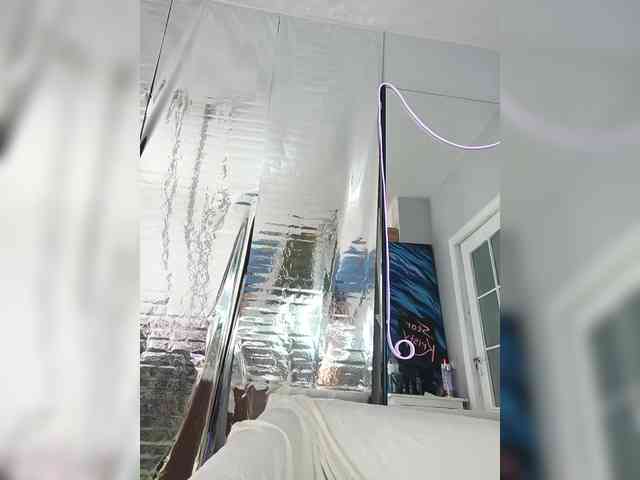 A_R_T_A webcam