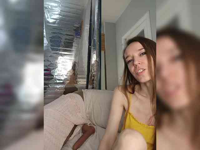 A_R_T_A webcam
