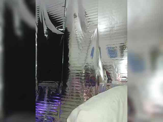 StarKristy StarKristy