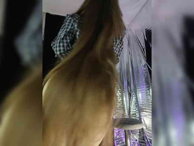 A_R_T_A webcam