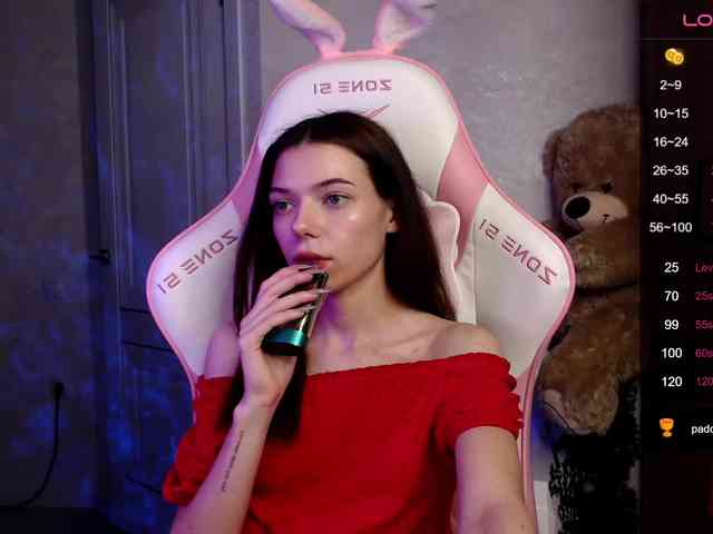 -GAE4KA- webcam