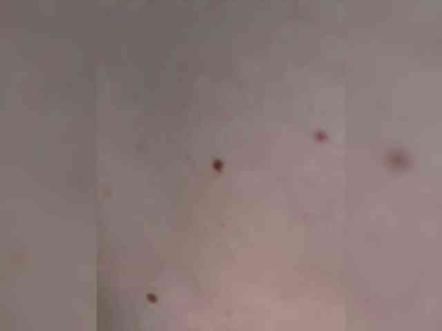 _M_O_L_O_K_O_ webcam