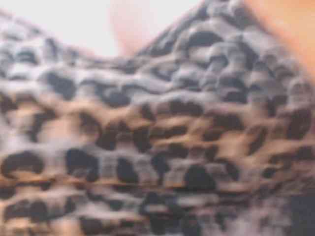 Maturepriscila webcam