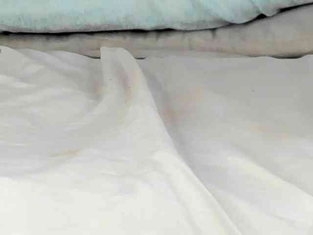 Mollys-Charm777 webcam