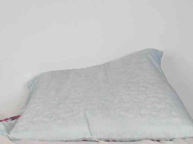 Mollys-Charm777 webcam