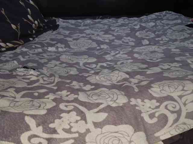 lushmystery webcam