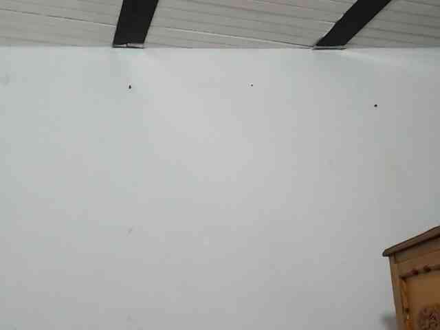 ariellth Live Webcam on BongaCams