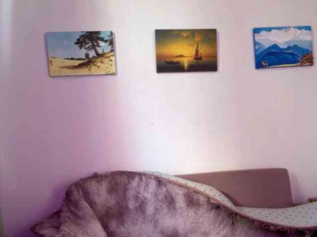 RoxyLover webcam
