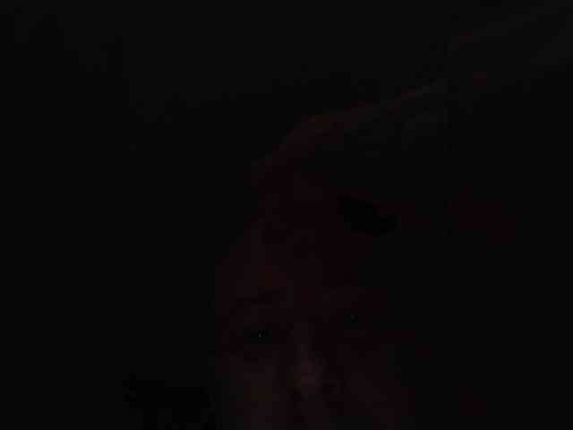 Gorillase Live Webcam on BongaCams