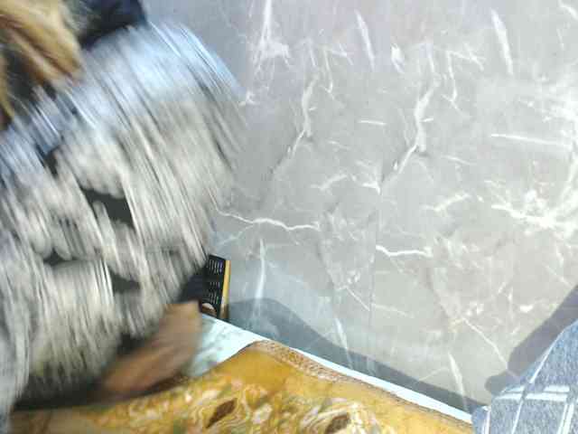 Jenifer91 webcam
