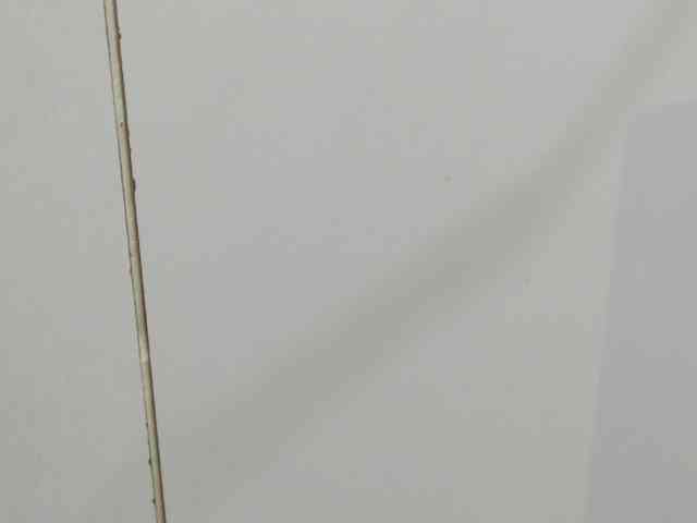 Jenifer91 webcam