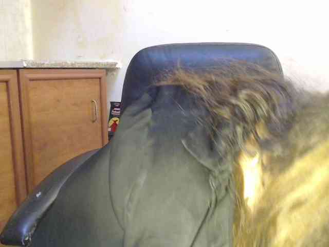 Jenifer91 webcam