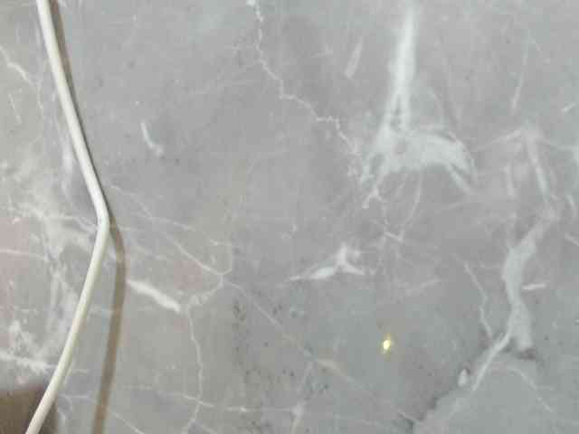 Jenifer91 webcam