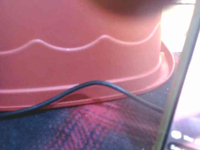 Jenifer91 webcam