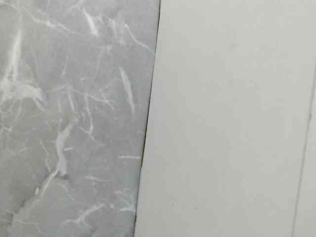 Jenifer91 webcam