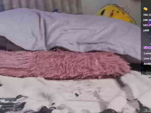 Anaaimey webcam