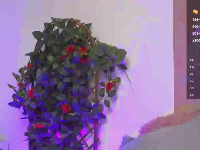 Anaaimey webcam