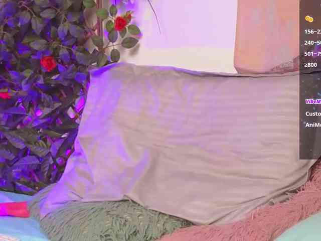 Anaaimey webcam