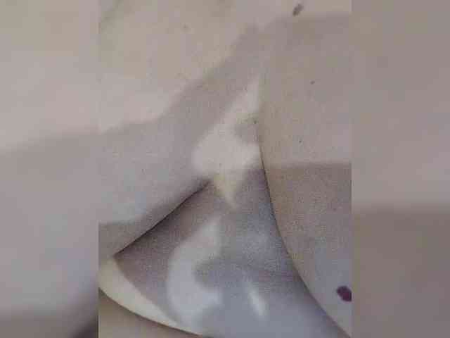 Sugarpyssi webcam
