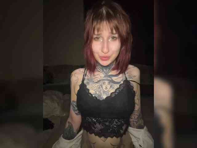 shnesyne webcam