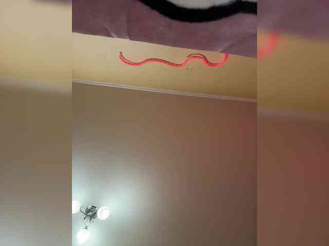 MiaSugar webcam
