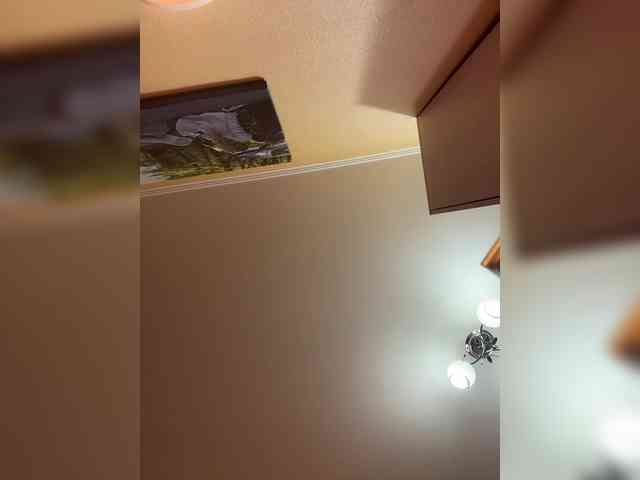 MiaSugar webcam