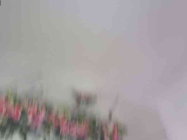 EMMAAA-STOONEE webcam