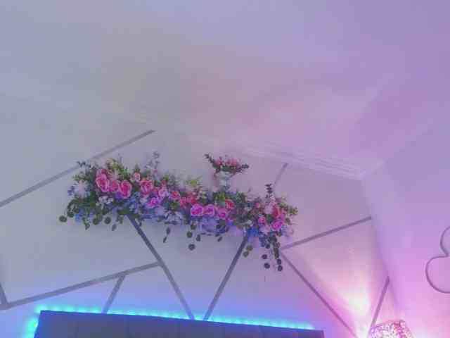 EMMAAA-STOONEE webcam