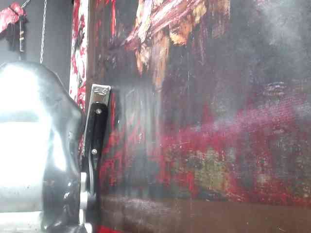 Darkd0ll webcam