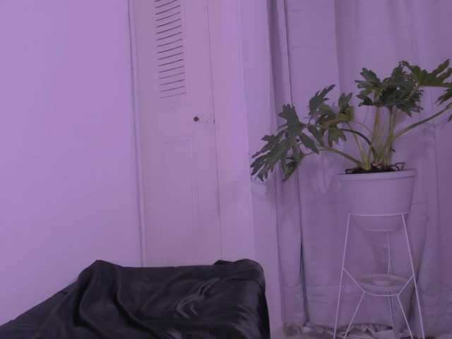 Nicole-Antonie on BongaCams