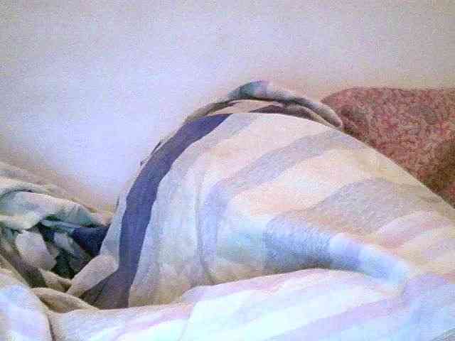 Menronjahh webcam