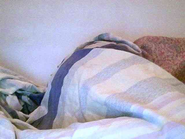 Menronjahh webcam