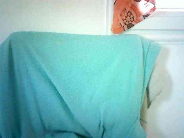 Menronjahh webcam