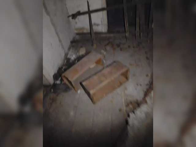 -Yelfik-