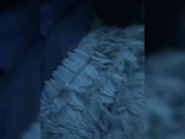 Killingspreee1 webcam