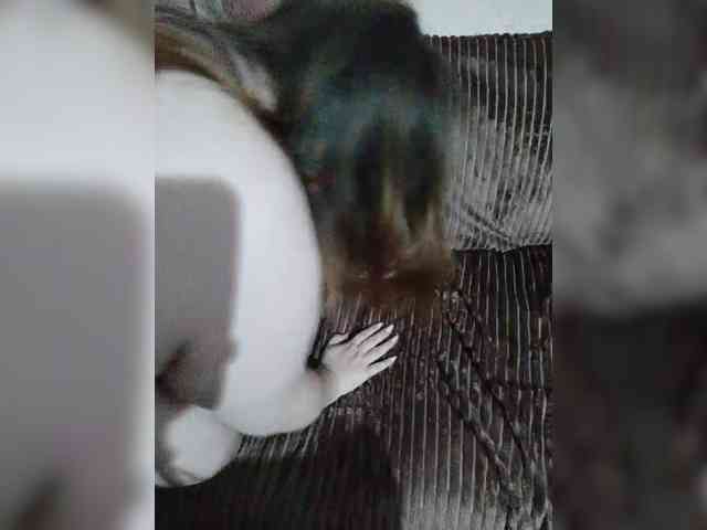 Solar-Rina Live Webcam on BongaCams