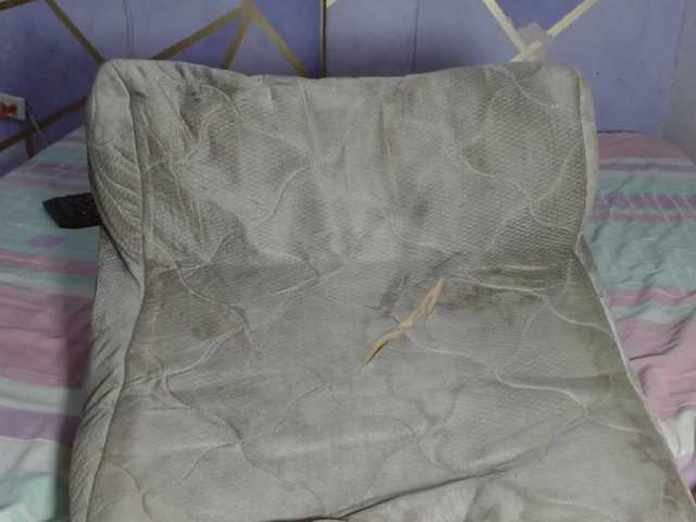 PaolaStone's BongaCams show and profile