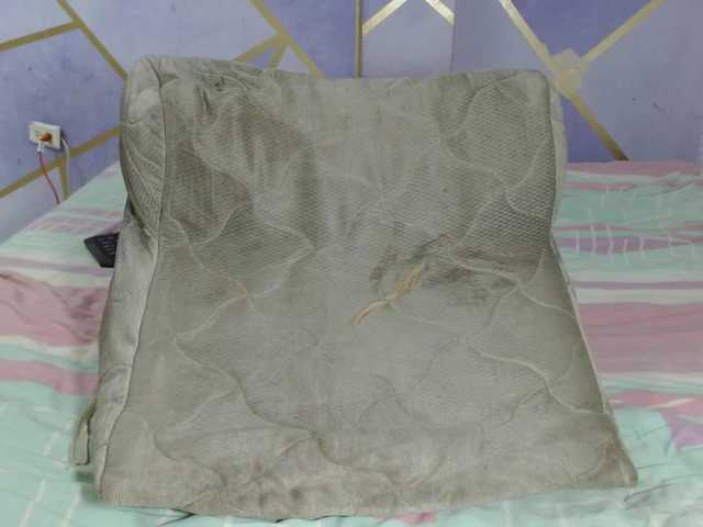 Preview of paolastone