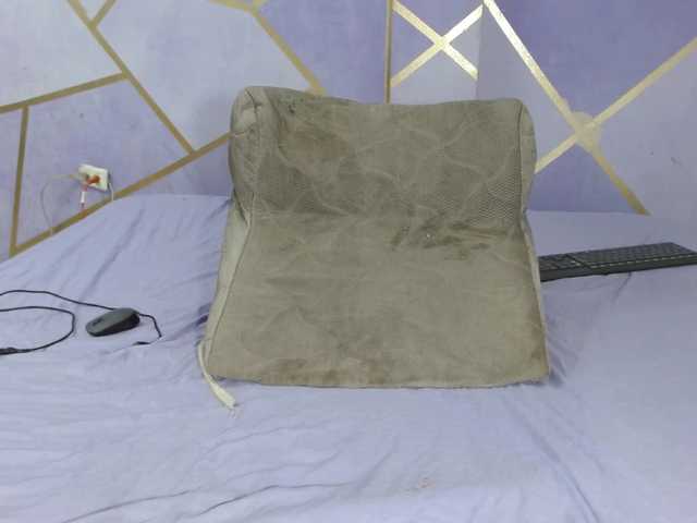 PaolaStone's BongaCams show and profile