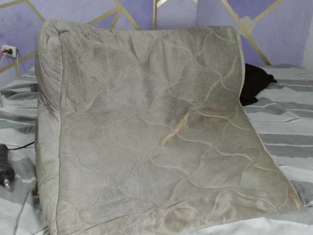 Preview of paolastone