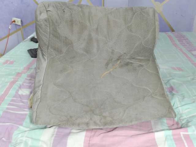 PaolaStone's BongaCams show and profile