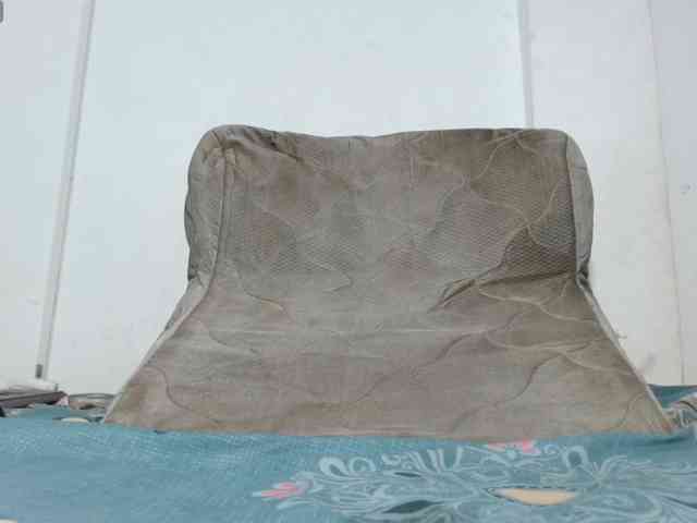 PaolaStone webcam