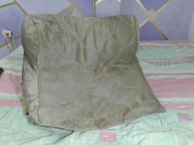 PaolaStone Live Webcam on BongaCams