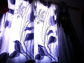 silviaLaBombe Porn Show