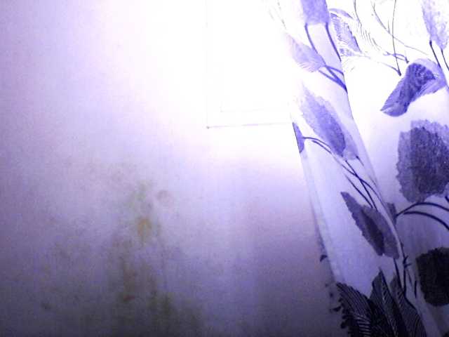 Preview of silvialabombe